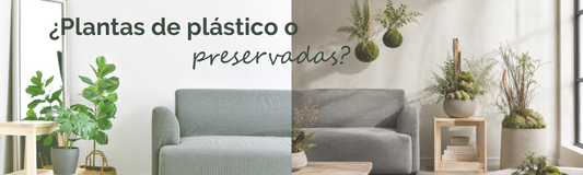 Las plantas de plástico adornan, pero envenenan.
