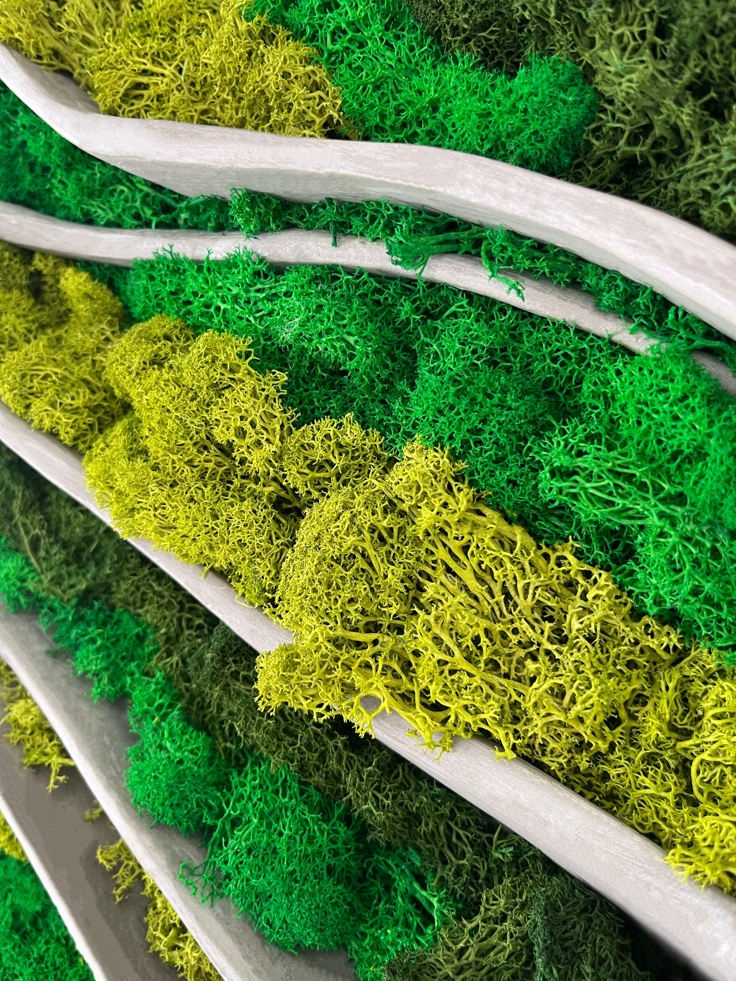 Cuadro de musgo MOSS WOOING NIEMEYER