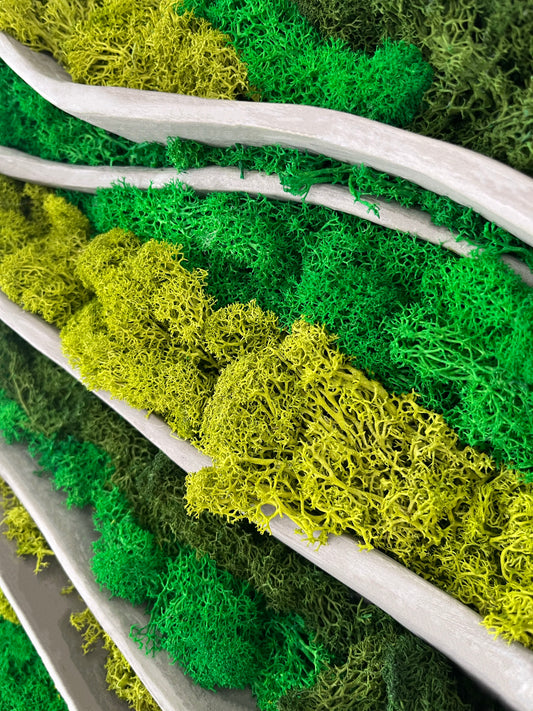 Cuadro de musgo MOSS WOOING NIEMEYER