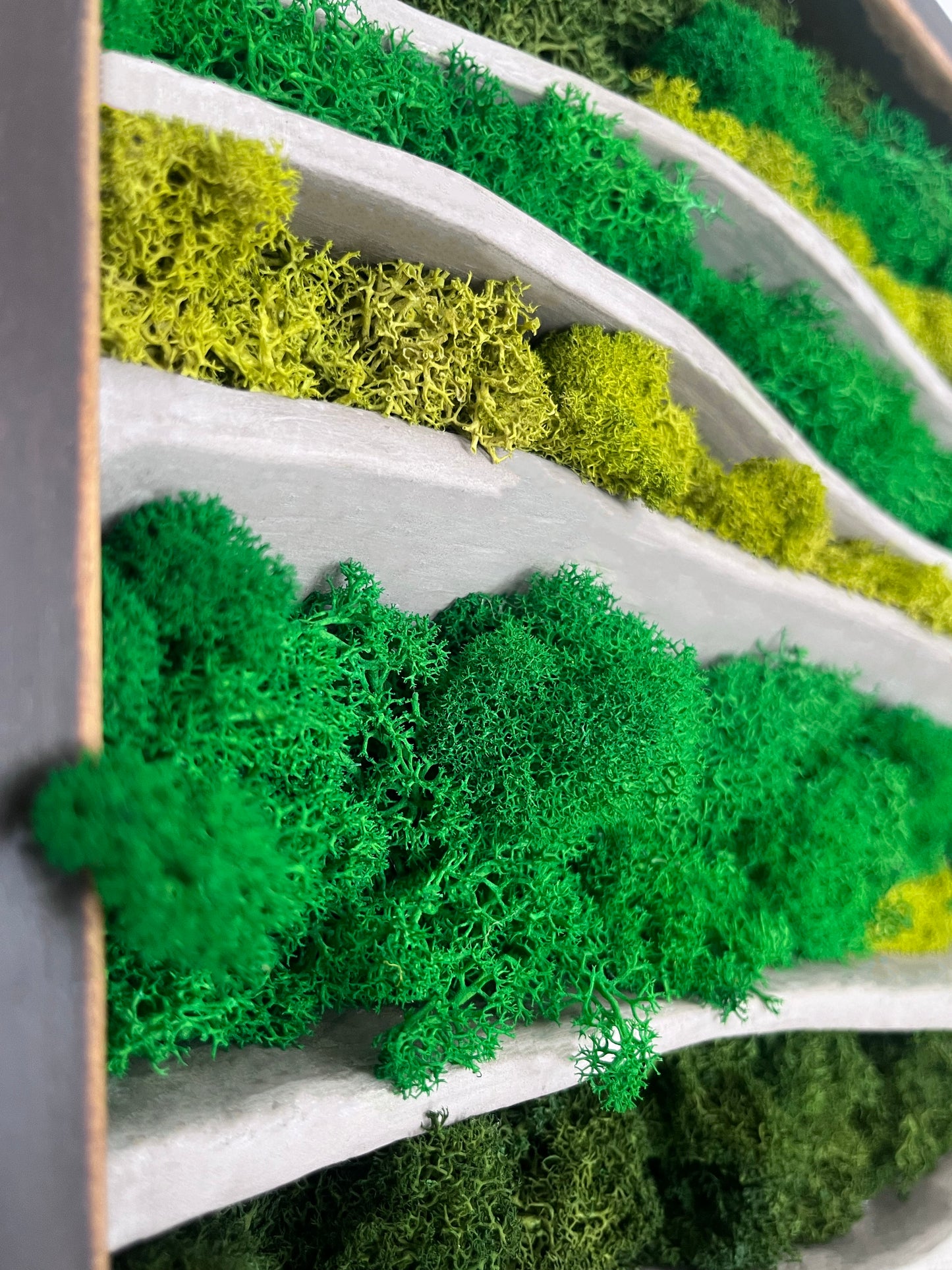 Cuadro de musgo MOSS WOOING NIEMEYER