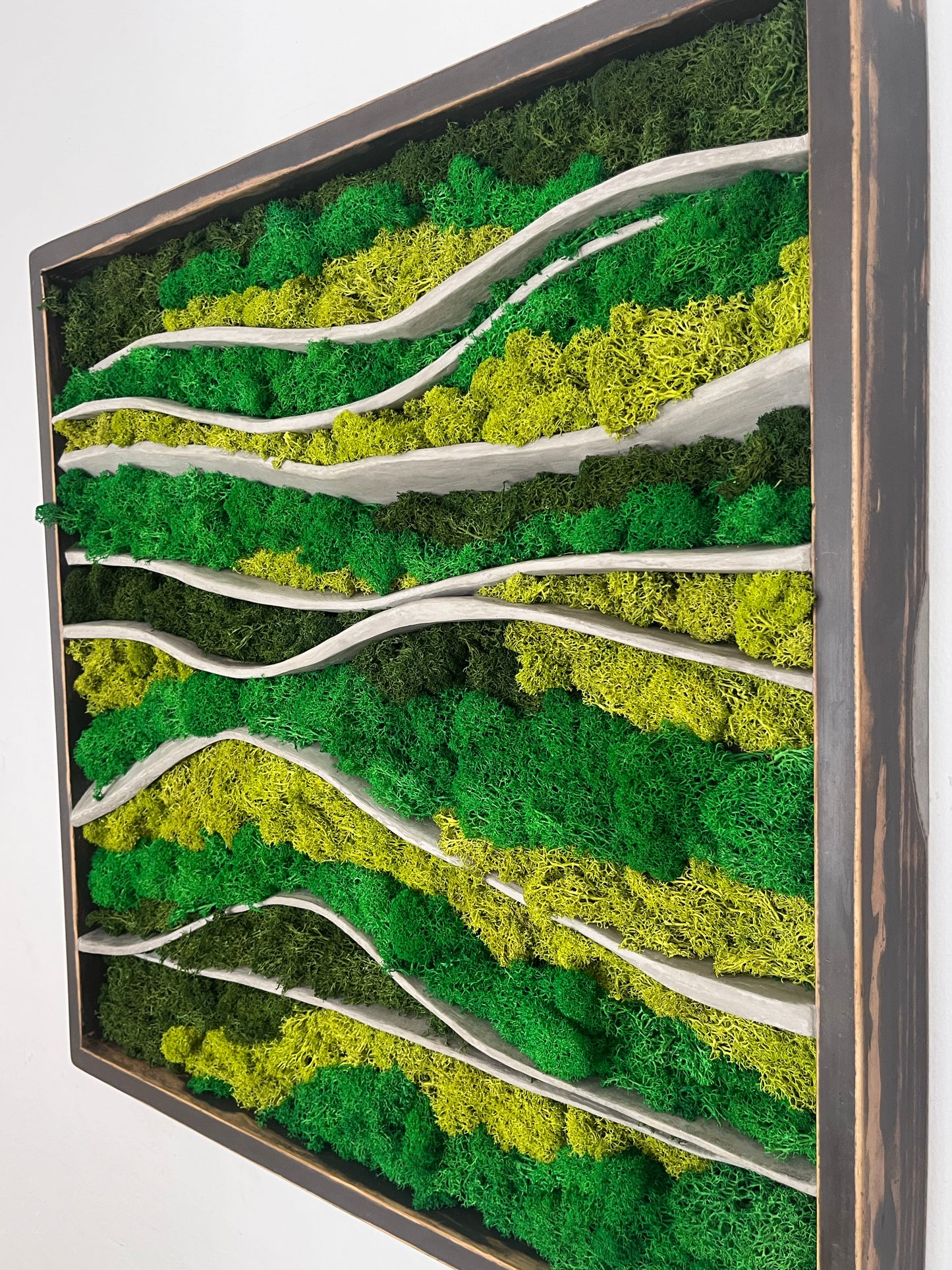 Cuadro de musgo MOSS WOOING NIEMEYER