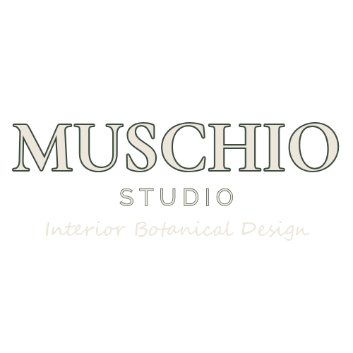 Muschio